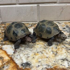 658183-14601  Schleich Giant Tortoise Figurine (x2 Tortoise) Wild Safari Animal